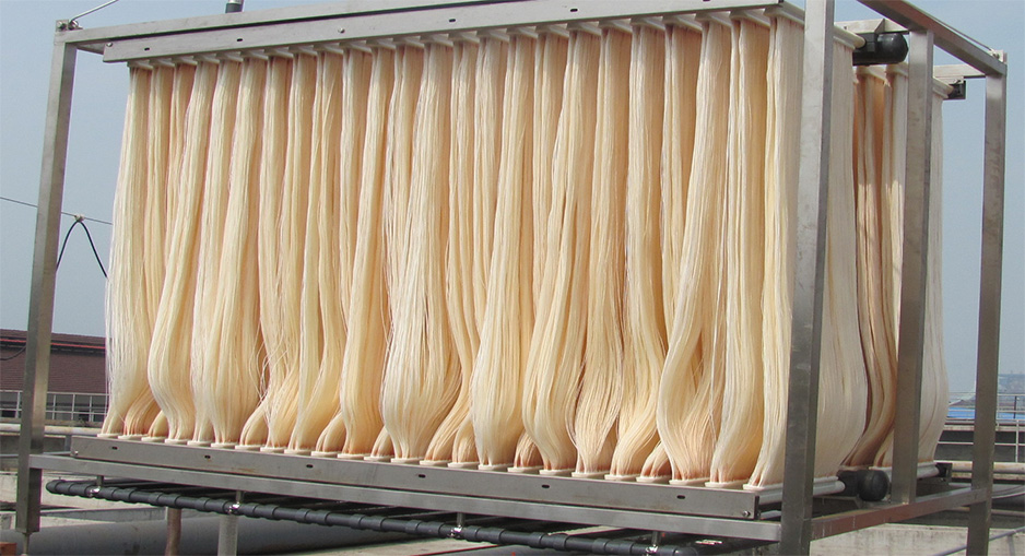 膜生物反應器(MBR)